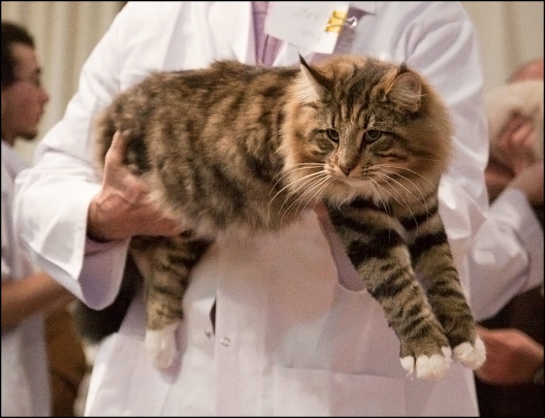 Super Tramp des Fines Terres 2.jpg - Super Tramp des Fines Terres